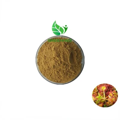 Chinese Herb 10: 1 Drosera Rotundifolia/ Sundew Extract