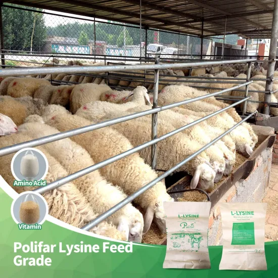 L-Arginine 98.5%Feed Grade Additives Supplement Poultry Nutrition