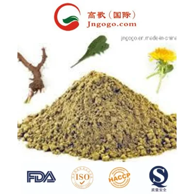China Pure 100% Natural Dandelion Plant /Flower/Herb Leaf Extract